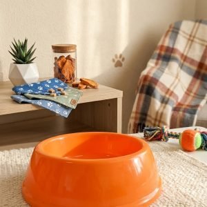 Plastic Pet Feeding Bowl